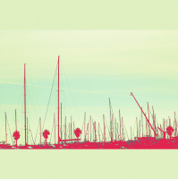 bitsound 229