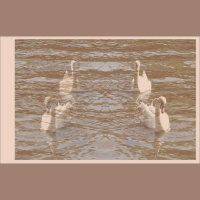 bitsound 274