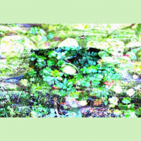 bitsound 293