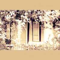 bitsound 233