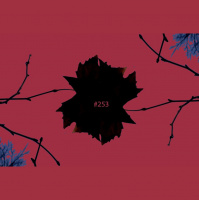 bitsound 253