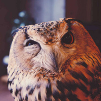 421 - Seth Kugel - A guide for the globally curious