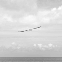 466 - Dreamer ou Thinker, você precisa saber falar sobre isso em inglês.