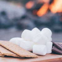 542 - Graham Cracker, hot topic e spitting quando se joga baseball!