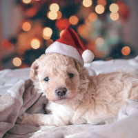 730 - Baby, its cold outside!