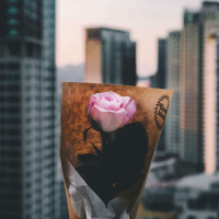 839 - Amor: Eventos românticos