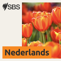 Sbs Dutch - Sbs Dutch