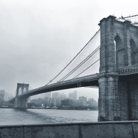 Os Estados Unidos São Melhores? #2