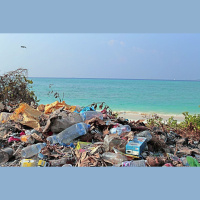Reunião no Brasil impulsiona ações contra poluição por plásticos