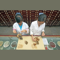 Dia Mundial da Vida Selvagem 2026 destaca plantas medicinais e aromáticas