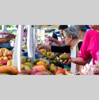 Em meio a imprevisibilidade, ONU defende economia global remodelada