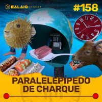 #158 - Paralelepípedo de Charque