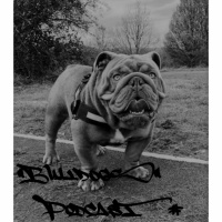 Bulldogs Podcast#014