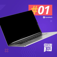 Desventuras do trabalho remoto