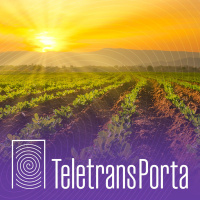 Empresa brasileira usa inteligência artificial para impulsionar agronegócio