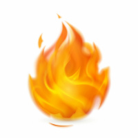 #11 - AGNI - Capacidade Digestiva e Metabolismo - Parte 1