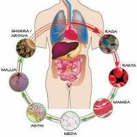 #14 - Nutrição e Excreção dos Tecidos (Dhatus)