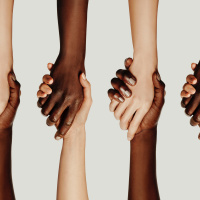 (149) Racismo nos registos clínicos