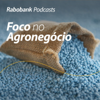 Olho no Mercado: Fertilizantes | Abril 2024