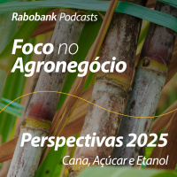 Perspectivas 2025 | Cana, açúcar e etanol