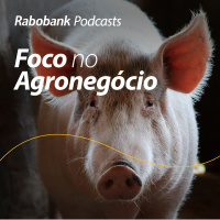 Perspectivas 2024 | Suínos