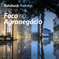 Chuvas impactam produção agrícola no RS