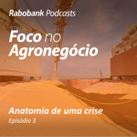 A anatomia de uma crise | Episódio 3