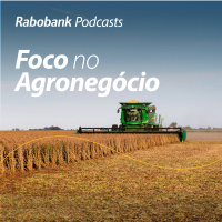 Olho no Mercado l Soja e Milho l Agosto 2024