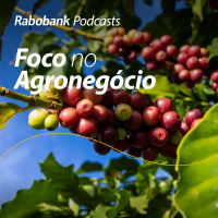 Olho no Mercado | Café | Abril 2024