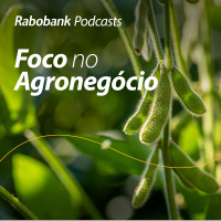 Olho no Mercado l Soja l Março 2024