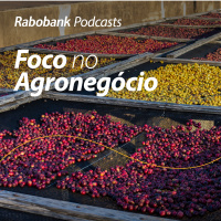 Olho no Mercado | Café | Maio 2024