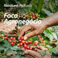 Olho no Mercado | Café | Julho 2024