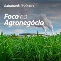 Olho no mercado | Açúcar e etanol | Março 2025