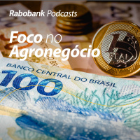 Novas expectativas de câmbio