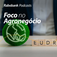 EUDR: Entre adiamentos e incertezas, o agro brasileiro está preparado?