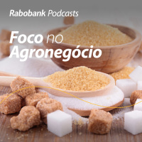 Olho no mercado | Açúcar