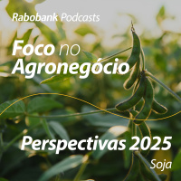 Perspectivas 2025 | Soja