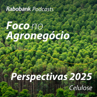 Perspectivas 2025 | Celulose