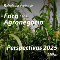 Perspectivas 2025 | Milho