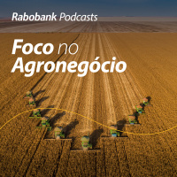 Perspectivas 2024 | Milho