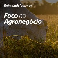 Perspectivas 2026 | Pecuária de Corte