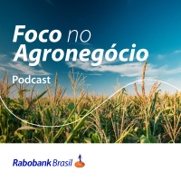 Olho no Mercado | Fertilizantes | Setembro 2023