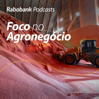 Olho no Mercado | Fertilizantes | Setembro 2024