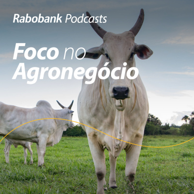 Foco No Agronegócio - Pesquisa Setorial