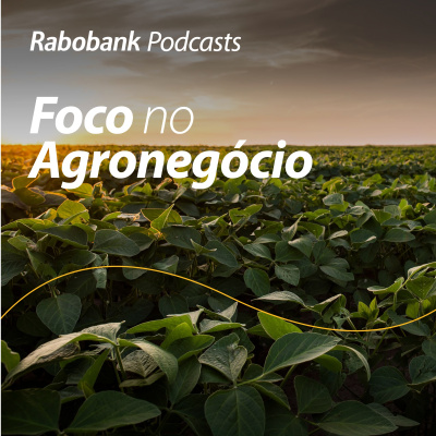 Foco No Agronegócio - Pesquisa Setorial