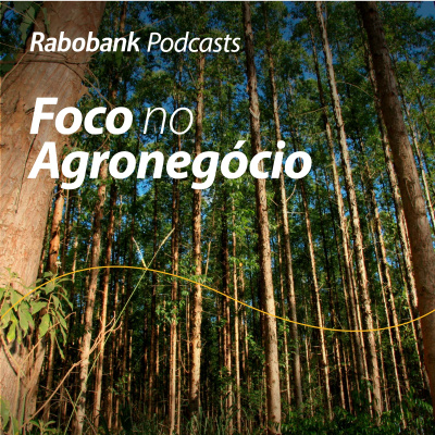 Foco No Agronegócio - Pesquisa Setorial