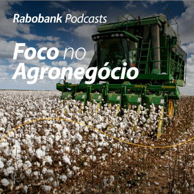 Foco No Agronegócio - Pesquisa Setorial