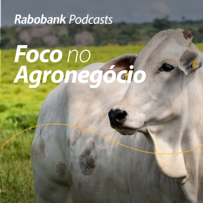 Foco No Agronegócio - Pesquisa Setorial