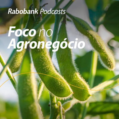 Foco No Agronegócio - Pesquisa Setorial