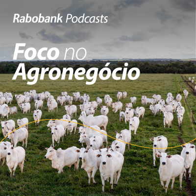 Foco No Agronegócio - Pesquisa Setorial